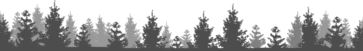 background forest image